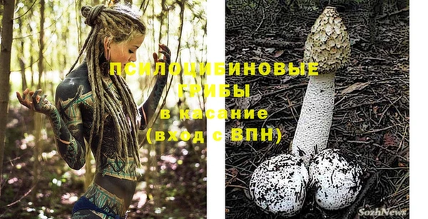 твердый Армянск