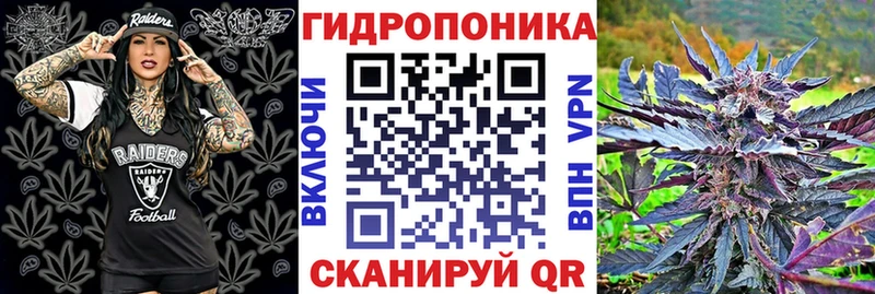 Канабис конопля Купить закладки Сосновый Бор